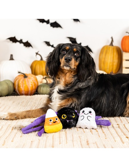 Set Frightly friends