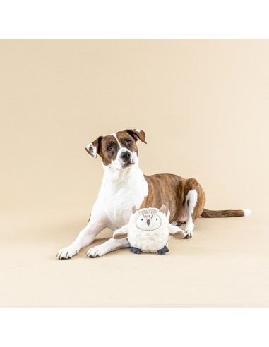 WHOOOO'S THERE? 3D ERTH FRNDLYDGTOY