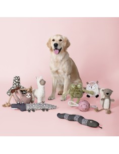 Fleeced to meet you | Earth Friendly 2