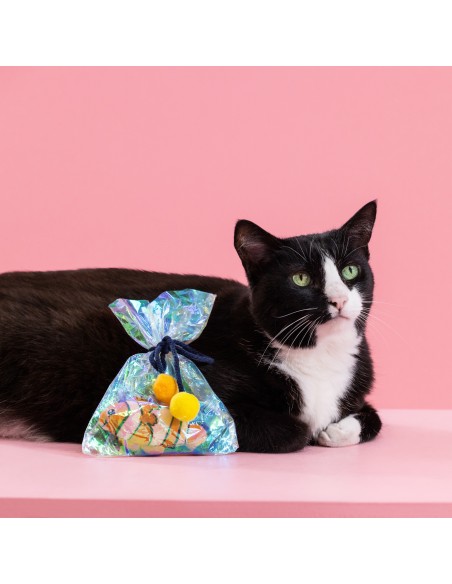 Clownin' around | Cat