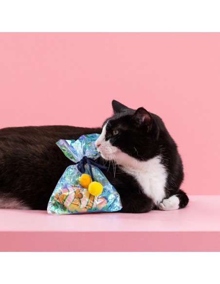 Clownin' around | Cat