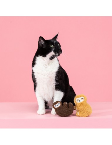 Set Moving slow | Cat