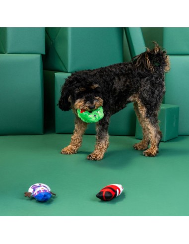 We Have Great Chemis-Tree 3Pcs Dog Toy Set