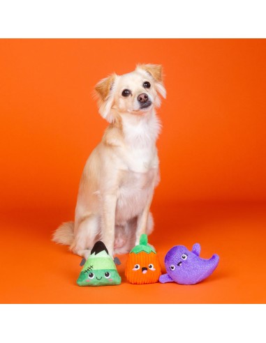 Fringe Spooky Squad | Set