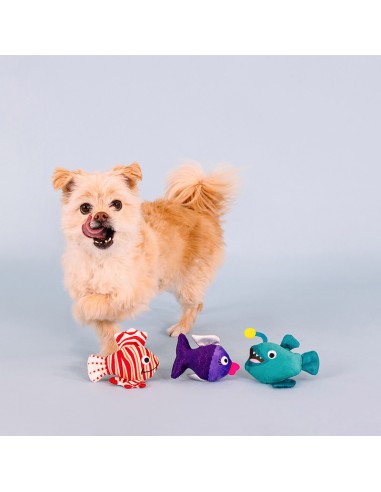 Set Any fin is possible