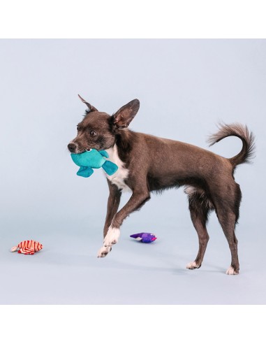 Set Any fin is possible