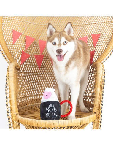 You Perk Me Up | Touw