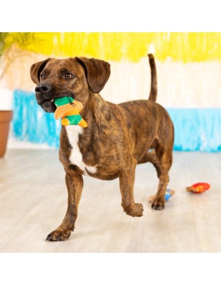 Set Little taste of glory