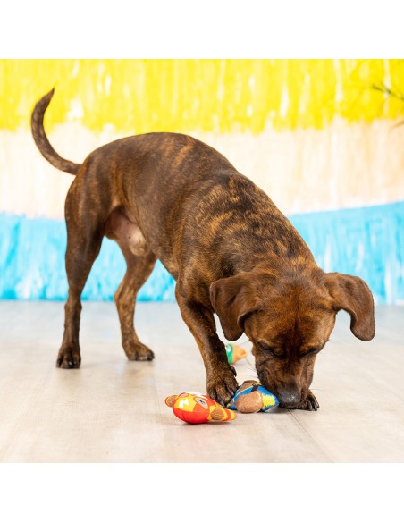 Set Little taste of glory