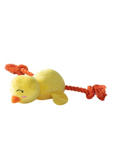 Sweet little chick | Touw