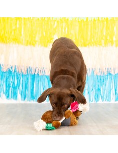 Tacos & Tequila | Touw 2