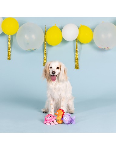 Set It's a waterful life