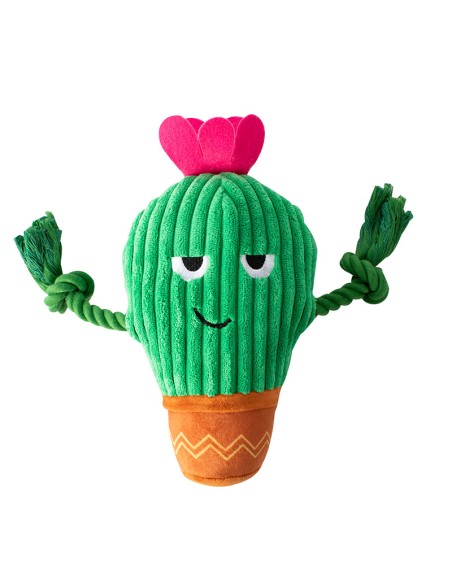 You grow chica! | Touw