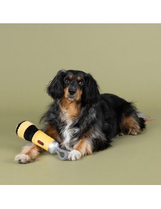 I need some light | Touw 2