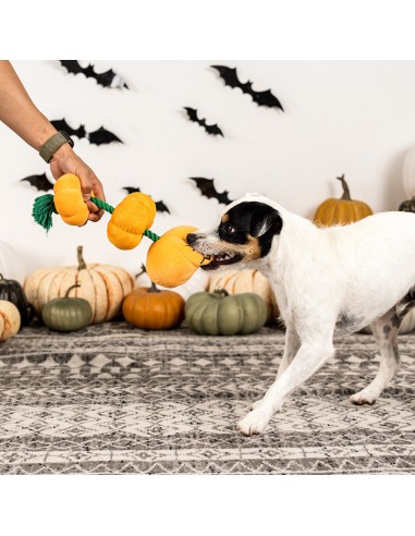 Stack-o-lantern | Touw