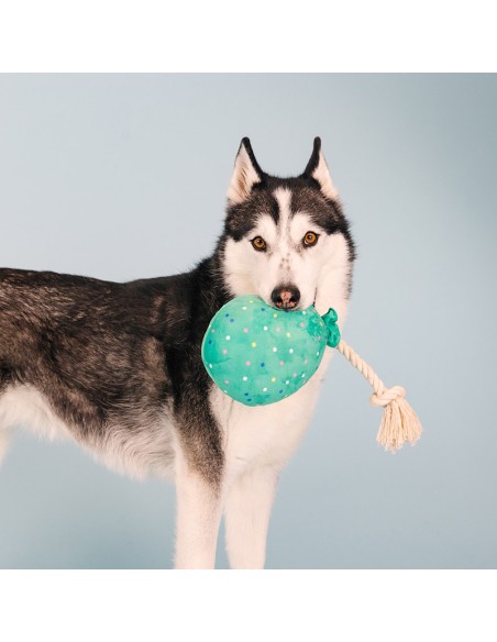 I pawty, you pawty | Touw