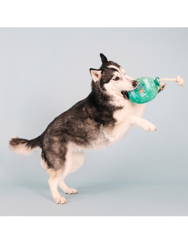 I pawty, you pawty | Touw