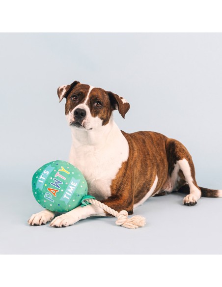 I pawty, you pawty | Touw