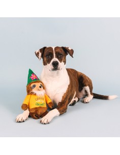 Chillin' with my gnomies 2