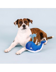 Whale, hello there | Touw 2