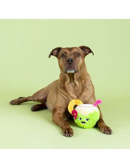 Coc-Nuts About You Plush Dog Toy