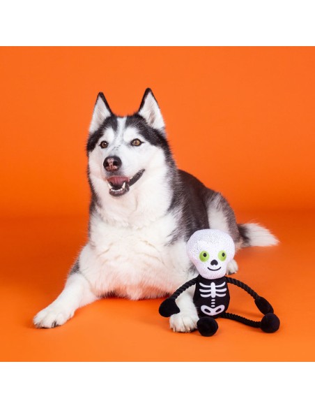 Fringe Got A Bone To Pick | Touw