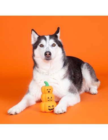 Fringe Go Big Or Gourd Home | Latex