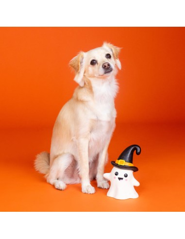 Fringe One Wicked Ghost | Latex