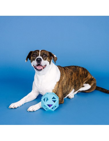 Sweet on the inside blue | Rubber