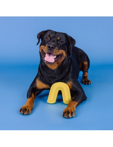 Color me happy yellow | Rubber