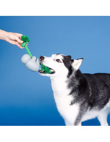 How's It Hangin'? Rubber Dog Toy - pack of 4