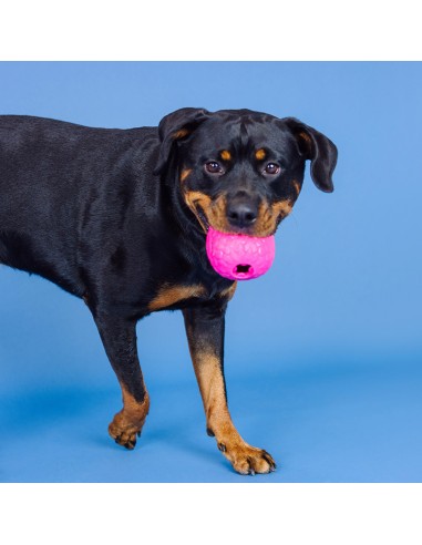 You're a hoot hot pink | Rubber | Treat Dispenser