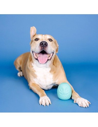 You're a hoot turquoise | Rubber | Treat Dispenser