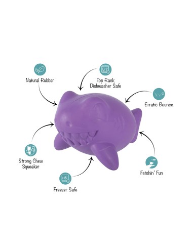Catch Ya Later Purple Rubber Dog Toy - pack of 4