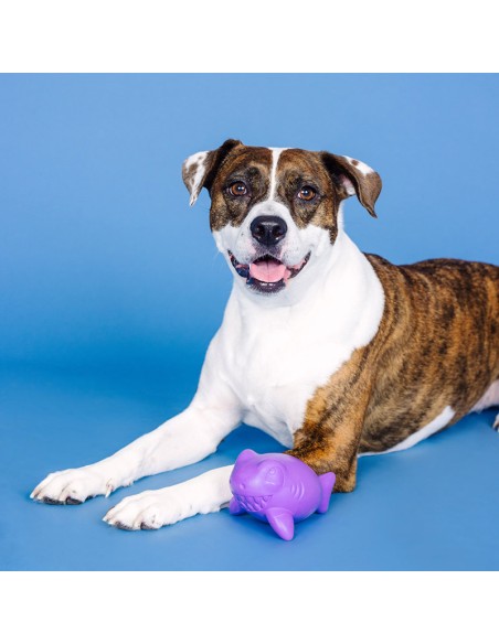Catch Ya Later Purple Rubber Dog Toy - pack of 4