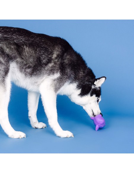 Catch Ya Later Purple Rubber Dog Toy - pack of 4