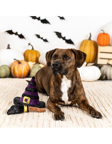 Set If the broom fits