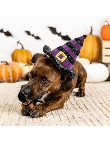 Set If the broom fits