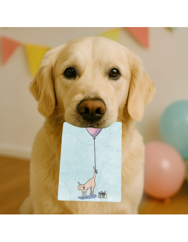 Edible Cards for dogs