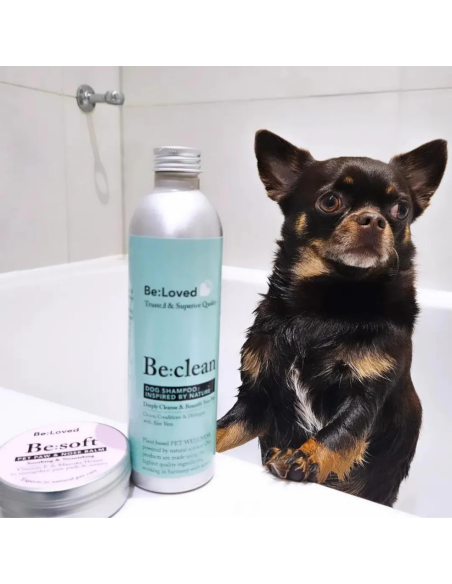 BeLovedBe:Clean - Deeply Cleanse & Beautify Your Pet