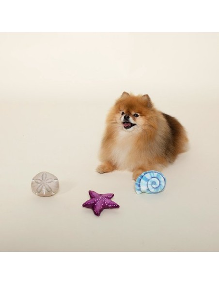 Fringe Set Seashells