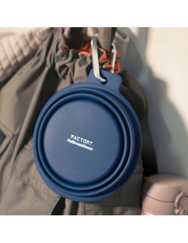 Collapsible Silicone Travel Bowl