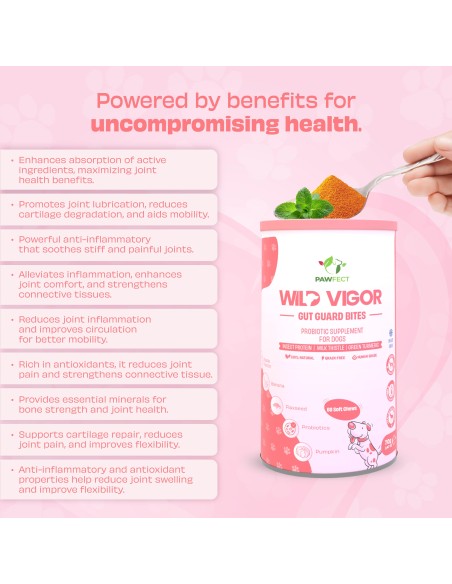 Pawfect supplements Wild Vigor Gut Guard 60 Pcs.