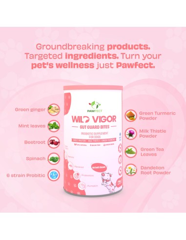 Pawfect supplements Wild Vigor Gut Guard 60 Pcs.