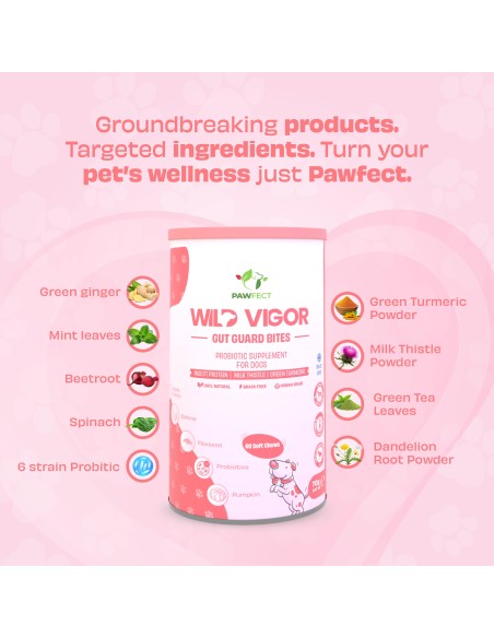 Pawfect supplements Wild Vigor Gut Guard 60 Pcs.
