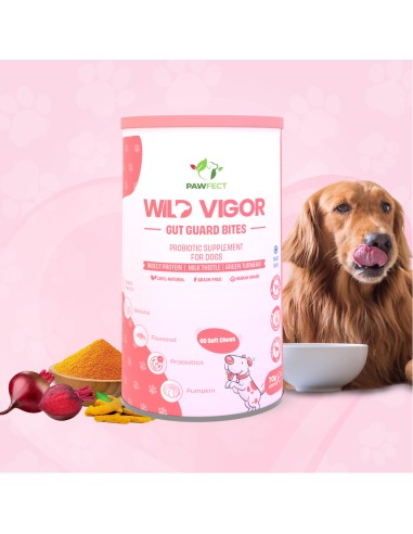 Pawfect supplements Wild Vigor Gut Guard 60 Pcs.