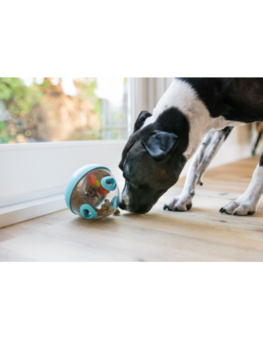 PLAY Wobble Ball Enrichment Treat Toy - Red : Color - Blauw