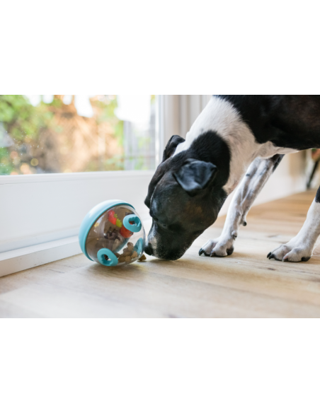PLAY Wobble Ball Enrichment Treat Toy - Red : Color - Blauw