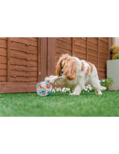 PLAY Wobble Ball Enrichment Treat Toy - Red : Color - Blauw