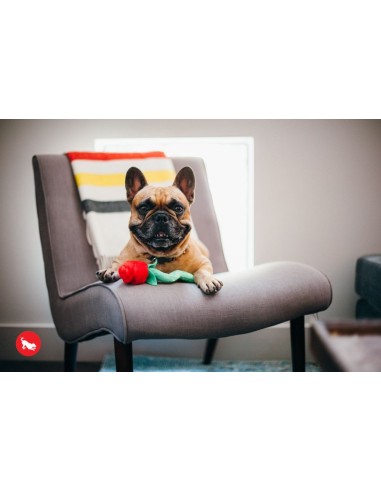 Puppy Love Collection Toys (B2C) - 1 Set (i.e. 3 pcs) with Gift Box  - Rover´s Roses